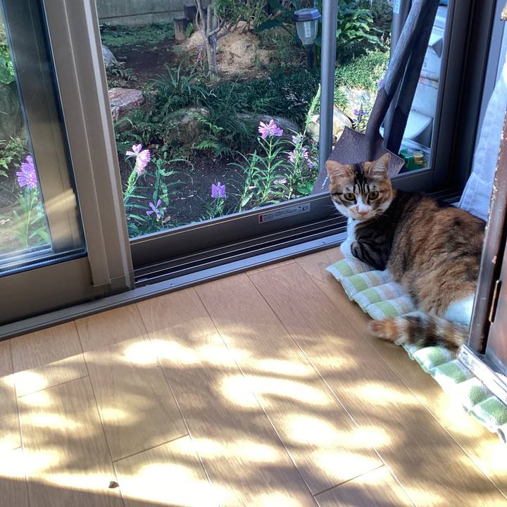 Bbcd17d8 d9a5 49c1 bac7 085a9a09a160 1664233146251