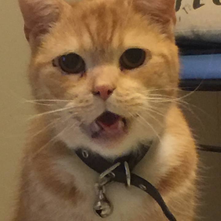 Bbcd55b1 0595 4338 959b fa253528dabe 1549638357114