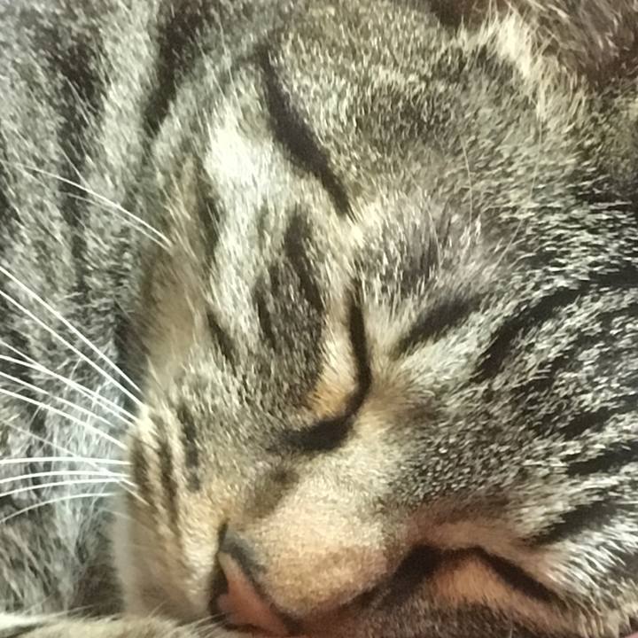 Bbcd73c4 4c84 4a33 8d17 dcb5d244f8b2 1550798712845