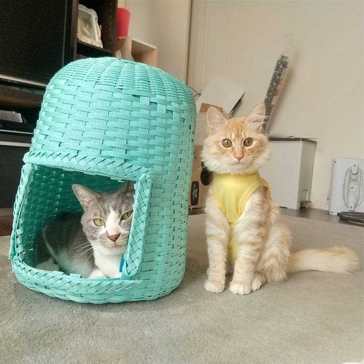 Bbcda2ea 5c56 4be0 89f0 64b012c8c3bd 1614917730404