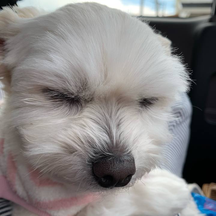 Bbcdb131 dde2 4b67 a14c 3da1cf44a014 1643368429629