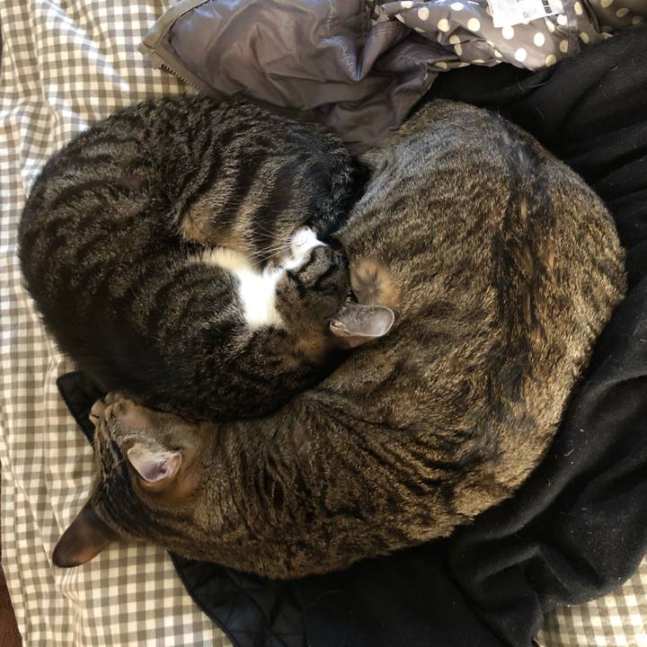 Bbcde854 d411 4253 80ae cd0190f87385 1519885509126