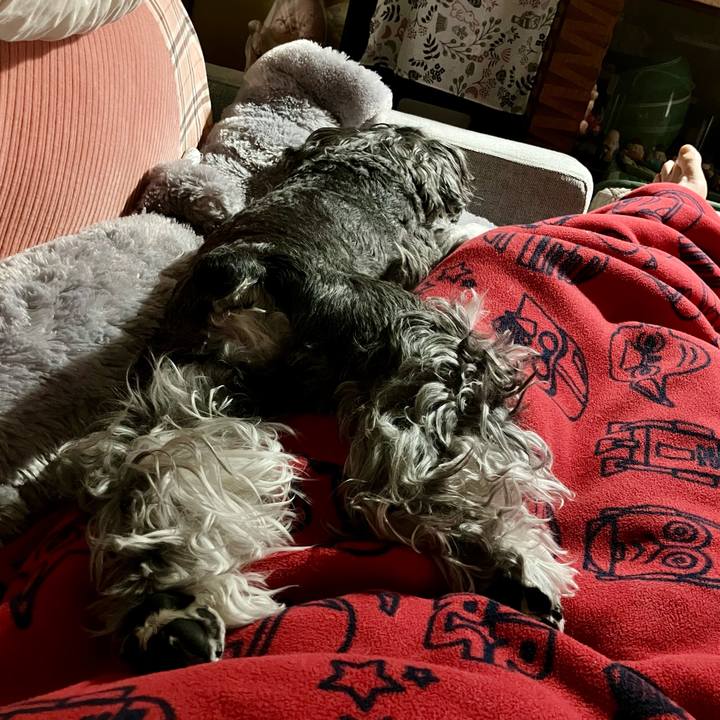 Bbce229b f8e2 4bab 92c2 c73e463bc5da 1717508757539