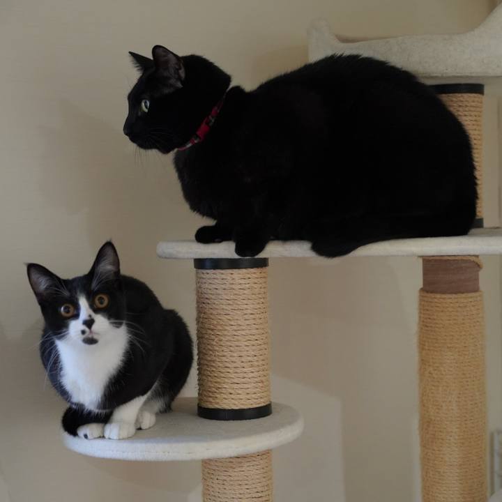 Bbce3457 ae8d 4770 bb45 7cab80c305c2 1580255736837