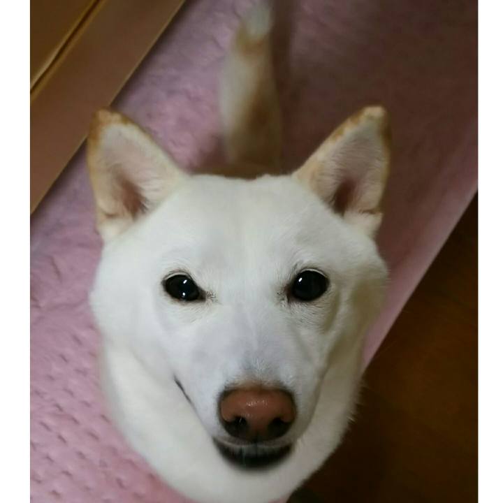 Bbce38c1 9414 46f7 958a 92fb26d2e599 1539133949125