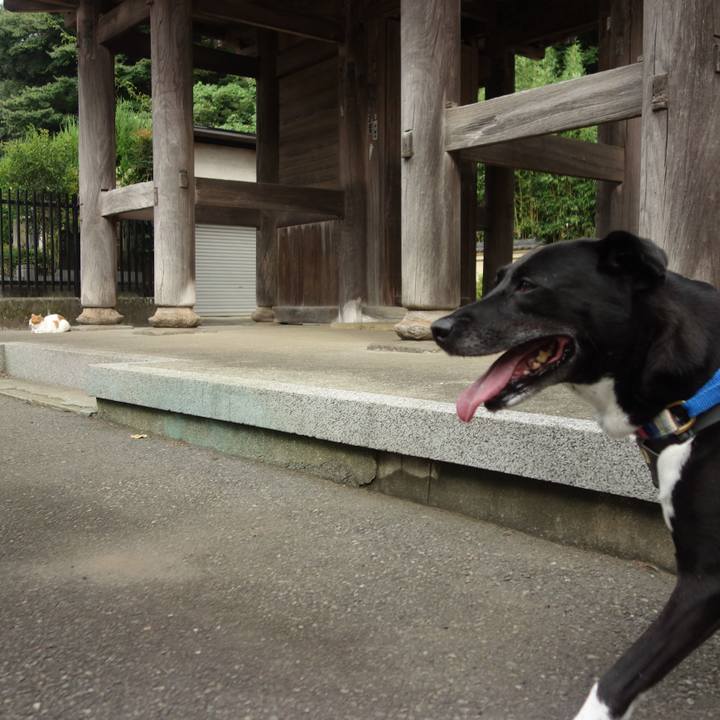 Bbce3967 4577 4597 84bb 22e087083d54 1663030353822