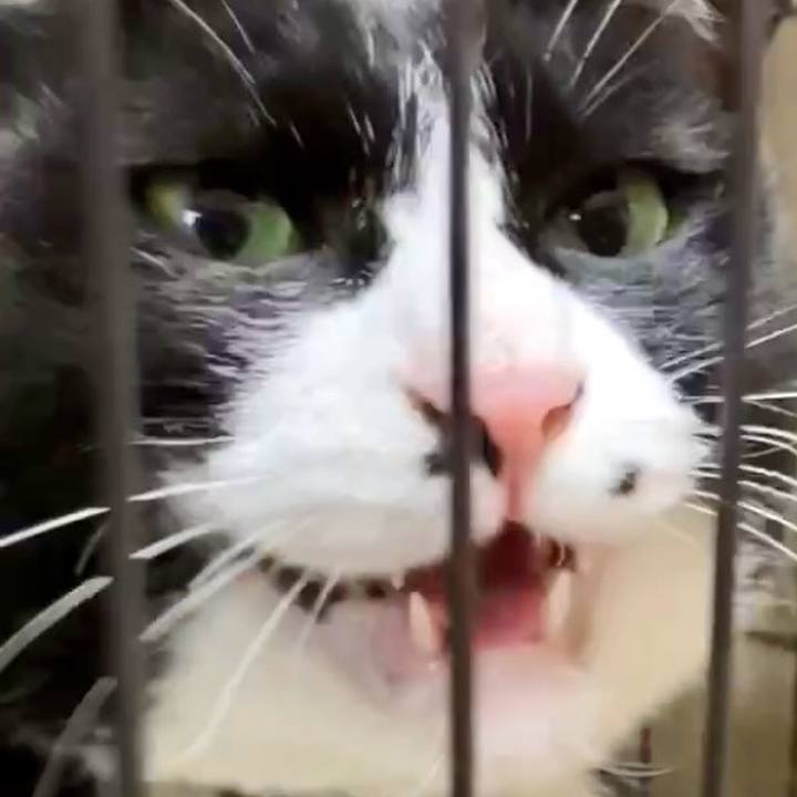 Bbce46fc a021 49cc 9ddb c3e5b7bf4b5e 1743586455436