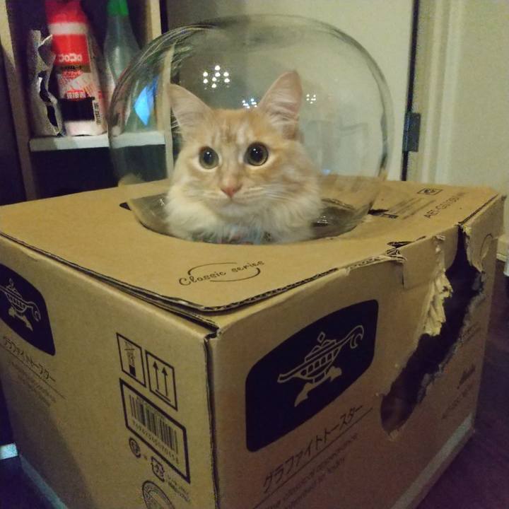 Bbce5c3f 2619 4609 8188 f20102bc23ad 1644494153108