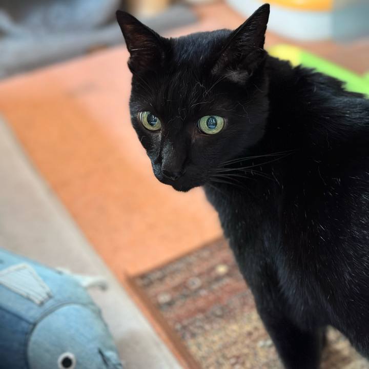 Bbce88a4 1ccc 43d0 9bb0 42ef57265547 1664243621941