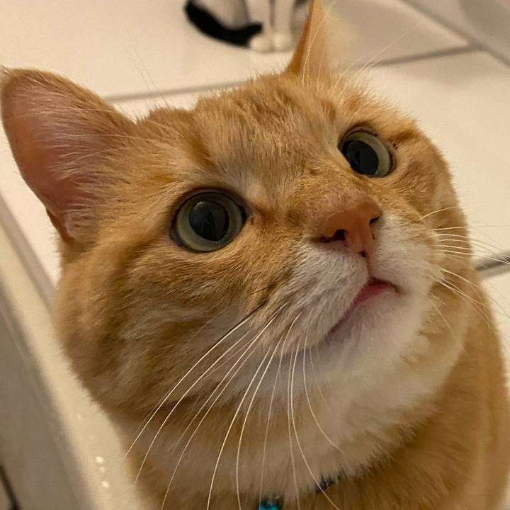 Bbcec79f 4af5 4f2f 9997 87e8473bd19d 1613832107200