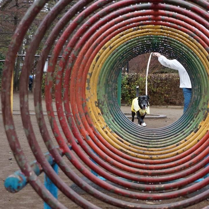 Bbced6a1 39bc 4623 9f26 065a4d61818f 1773618810698