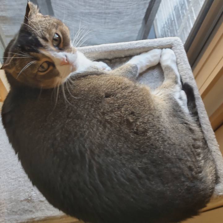 Bbcee392 8aac 4390 83d5 659539f72d84 1622390249417