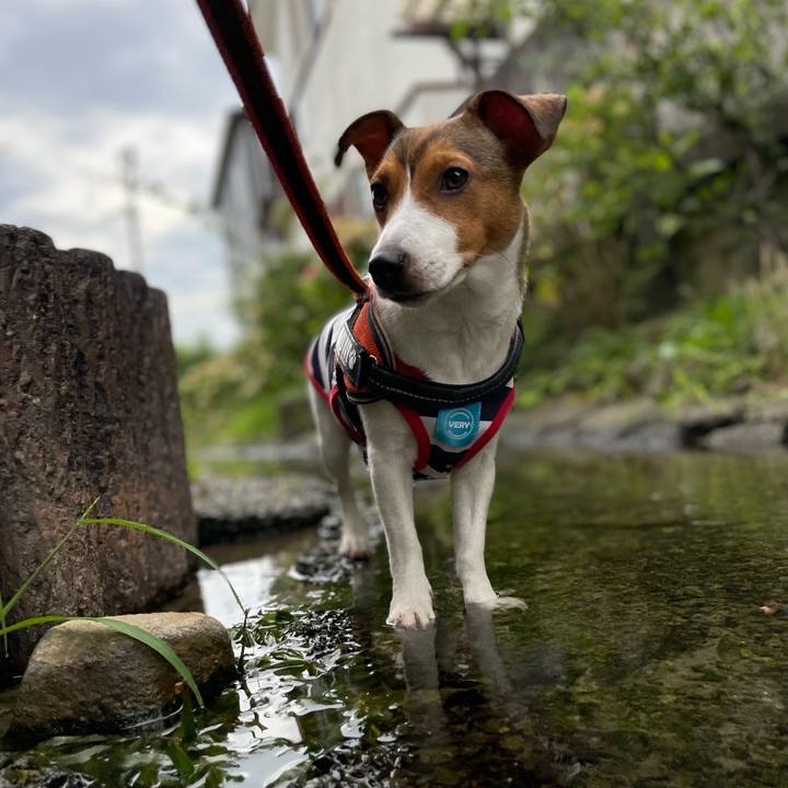 Bbcef2ab ebe4 4065 a253 1a60164a1356 1689291688736