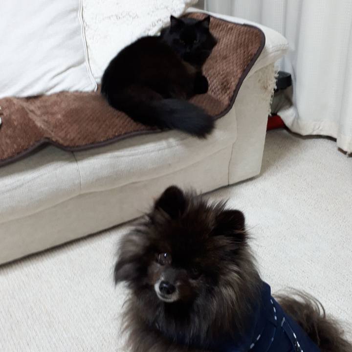 Bbcf0a35 3d49 4294 bf6b 2990d33271bf 1518725951158