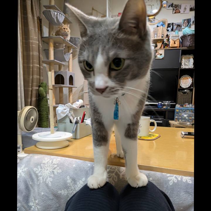 Bbcf2292 e941 4f51 b1cf 06d05e87525c 1764579118575