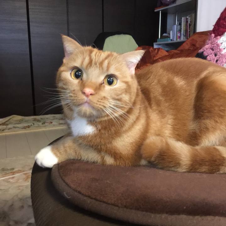 Bbcf503e 197f 4c54 9c4e c59ab20920ef 1551911733210