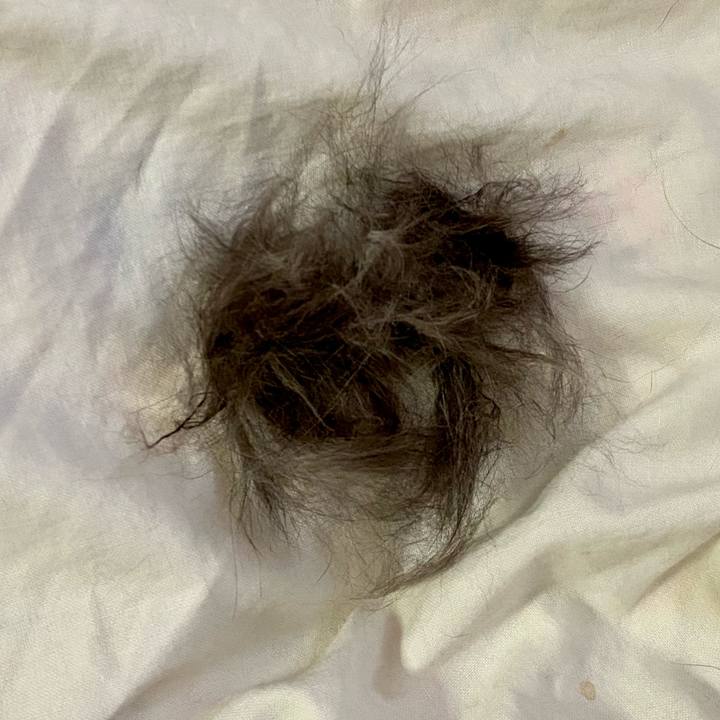 Bbcf6dd6 822d 47ca 88a2 557937481d5a 1649505300346