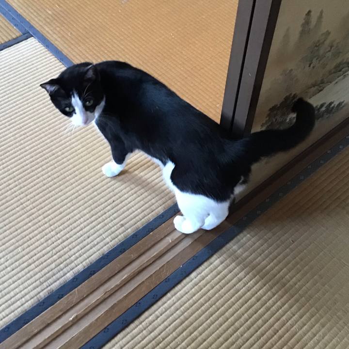 Bbcf743e 8875 4f2d bd8e 99d679eb589c 1742630565134