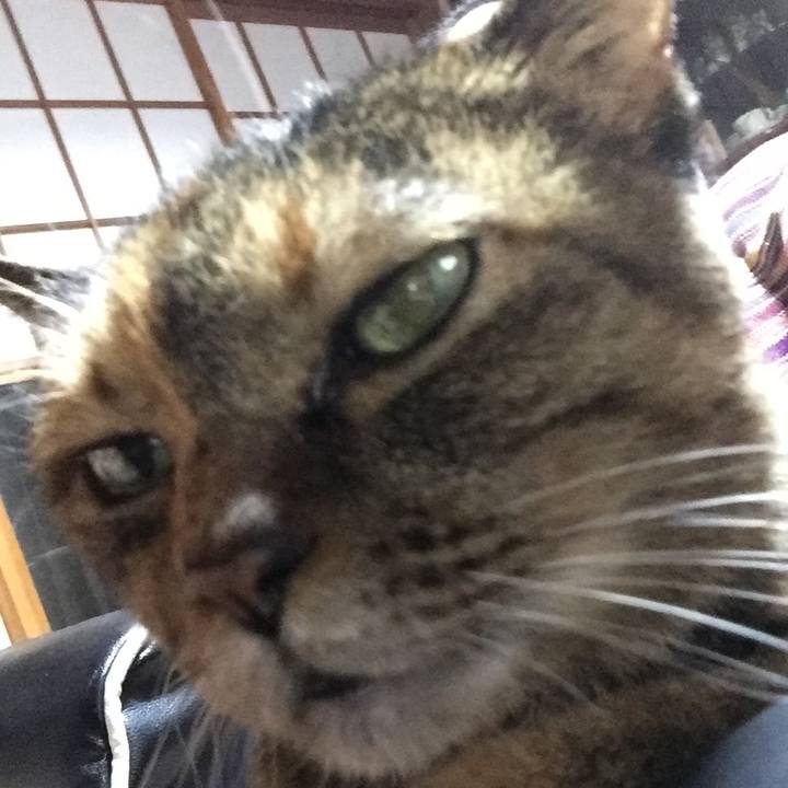 Bbcf7564 92a2 4788 a674 a202fe5b5753 1545815019921