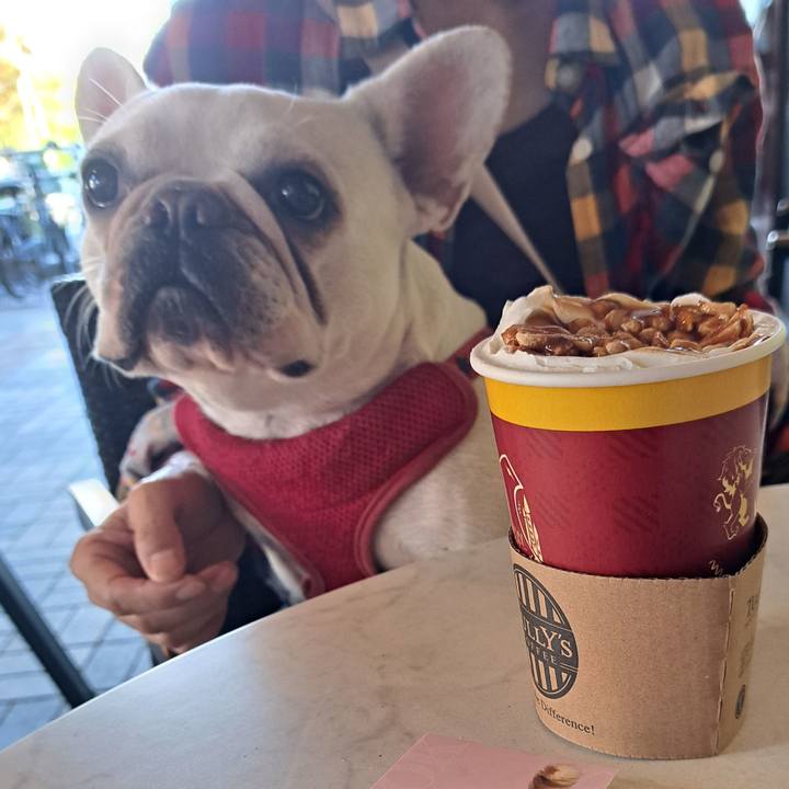 Bbcfa2b6 88c7 4448 a76a 37dc46c3722f 1699520226949