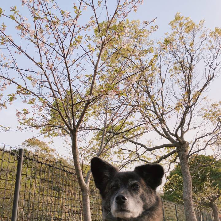 Bbcfaa92 0d2d 4620 a144 2c54c63f362d 1617152957581