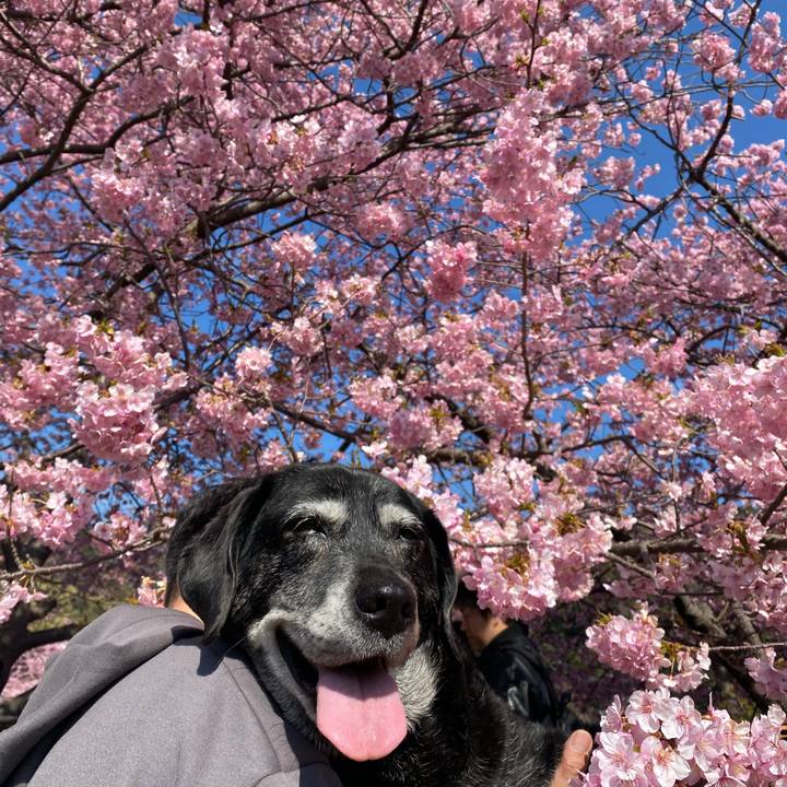 Bbcfad45 ef3f 413f bc74 3574802087dc 1740805364729