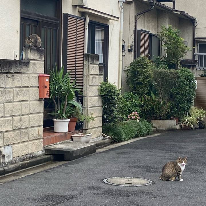 Bbcfb4a6 4dce 4951 87dc a689256aa2ee 1666517201321