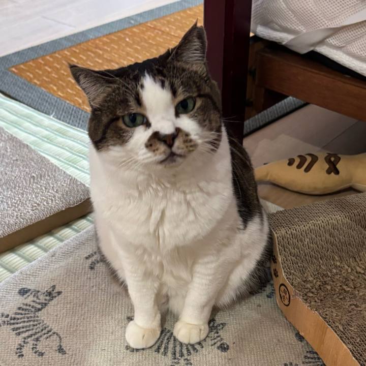 Bbcfc0fb 0d33 4f01 b156 d4bfa7b4fb45 1758238434179