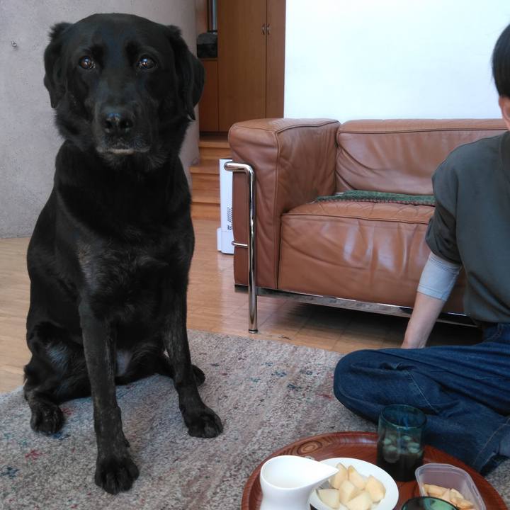 Bbcfcef0 8f8d 4349 9013 7e1856d3f3ce 1587261347811