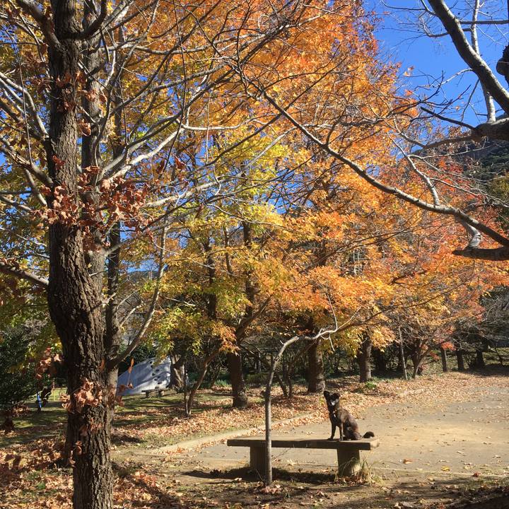 Bbd00d16 a416 4dcb a68a d3a9953e5016 1514355803172