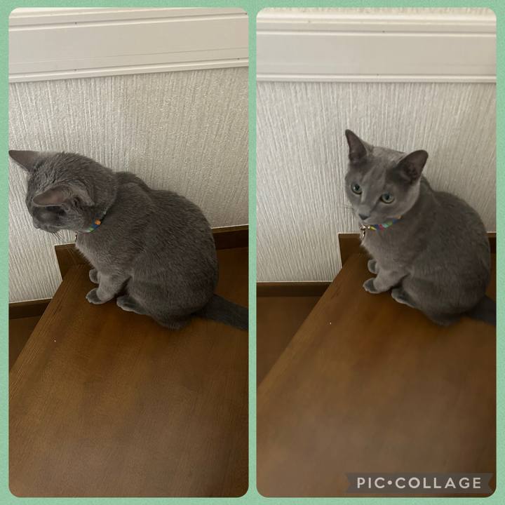 Bbd00e71 d361 4488 b9ba 0476e05dc7c1 1756698667595