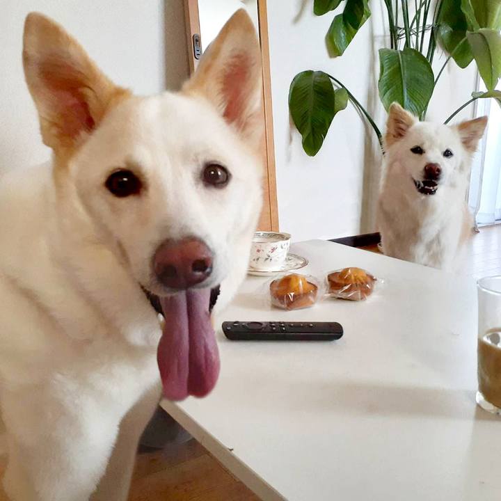 Bbd08076 3a64 419b 875d 17e68171aaba 1755848645707