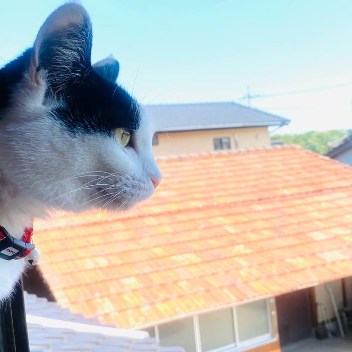 Bbd08b3f d957 42a1 b43a 23d1973043c7 1653639487534