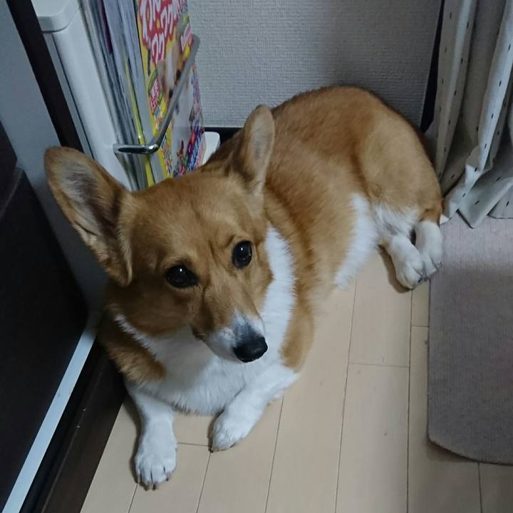 Bbd0a493 33e4 40a1 b468 ff99180e29c6 1523278199983