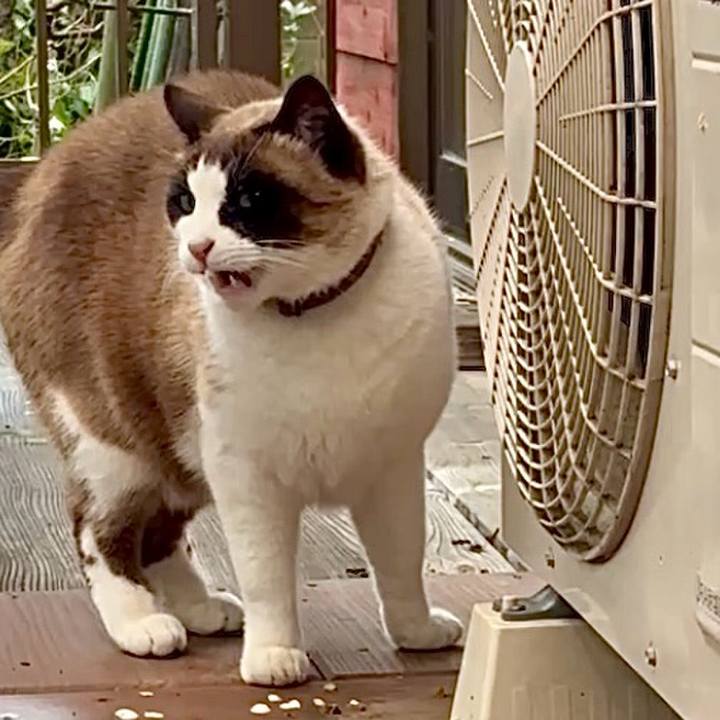 Bbd0c28e 7601 4b7e a715 d0a8b1f83bea 1772549742018