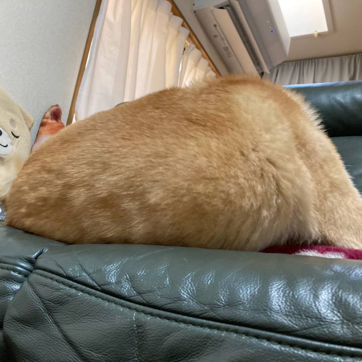 Bbd0d281 7075 4deb 9beb 25ec6e38d8c8 1612594522317