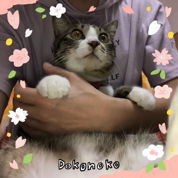 Bbd0e79e ef22 40fe 879a 5f30e2feb759 1711139961588