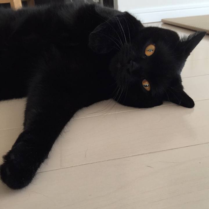 Bbd13dcf b249 4676 913c e24206c132fc 1536916213002