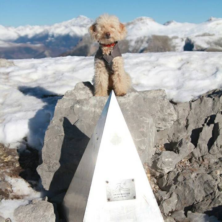 Bbd1993e 816e 45df 927a 84689b13e135 1578924602572