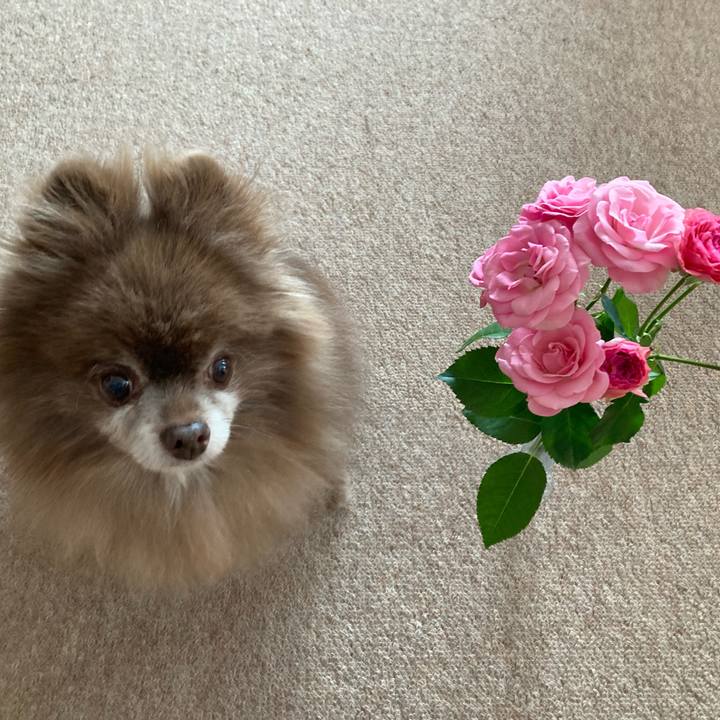 Bbd19e9c e36c 49bd 9d00 36db8f12c574 1703378540066