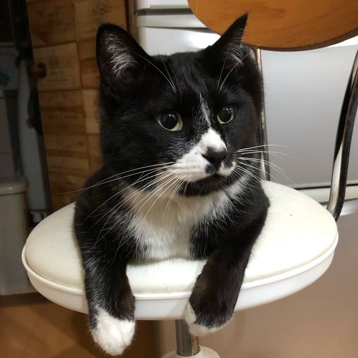 Bbd1d515 1bb7 4398 937f 412e2ba409ca 1588569647778