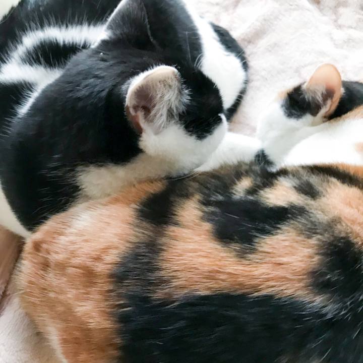 Bbd1f1d4 e8fc 48fc 9418 9e409e38569a 1515631309428