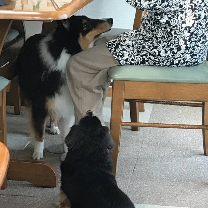 Bbd1f73f c2e2 41e4 b991 8e3fb99f1f54 1537912313405