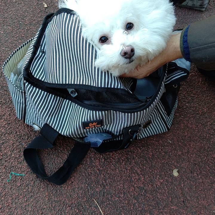 Bbd22564 ca76 4610 9594 40dacd4977dc 1576036635531