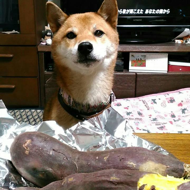 Bbd24883 3c2c 4739 bfba f9191474afee 1537183739564