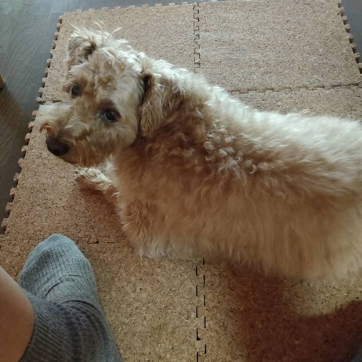 Bbd2583a 37fe 4835 a67b 7fcc4413c0b3 1597615848042