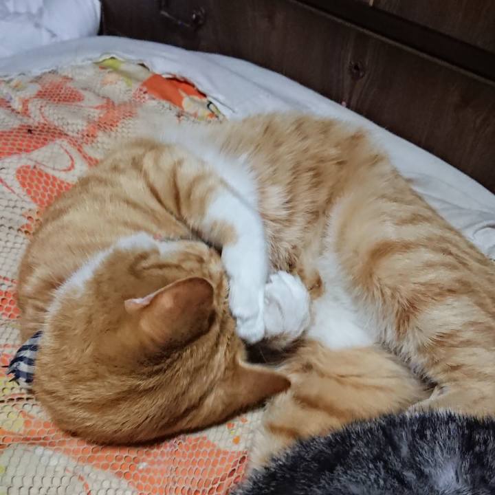 Bbd26d4e 9d64 4980 9b52 6cfb5e501c70 1572700132266