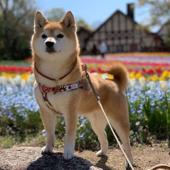 Bbd2968e 84fe 42fc 82f0 7e2de9cd2252 1618736031328