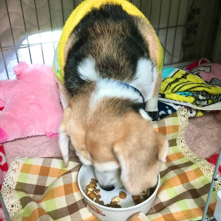 Bbd2b3d8 9db2 4e2a 9f8f dde5c44127c3 1774679763214