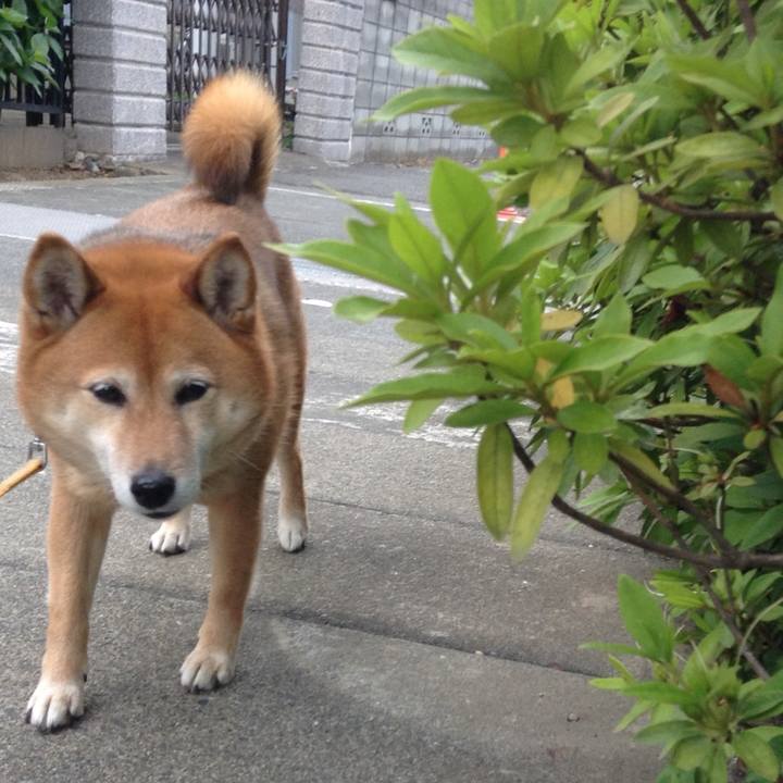 Bbd2cd6b cbe5 4de3 b381 9c5fc944a035 1526114525344